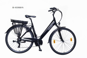 Felnőtt kerékpár - Neuzer-HollandiaDelux-fekete